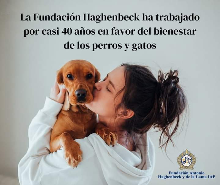 La Fundación Antonio Haghenbeck comprometida con el bienestar de los animales.