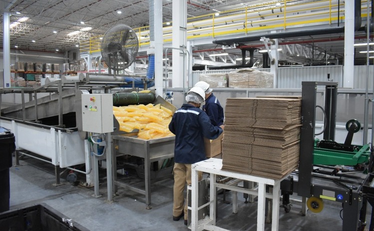 Henkel inaugura nueva planta de adhesivos en México.
