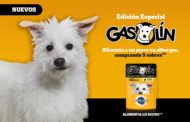 Gasolín, el perrito más famoso de México, es la imagen de Sobres Pedigree.